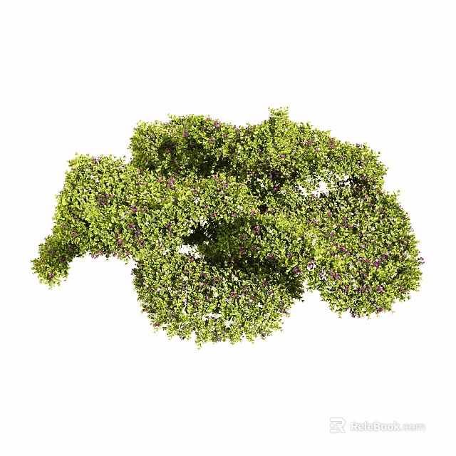 Lush Green Shrub With Dense Foliage And Purple Flowers For Garden Landscaping 3d model 