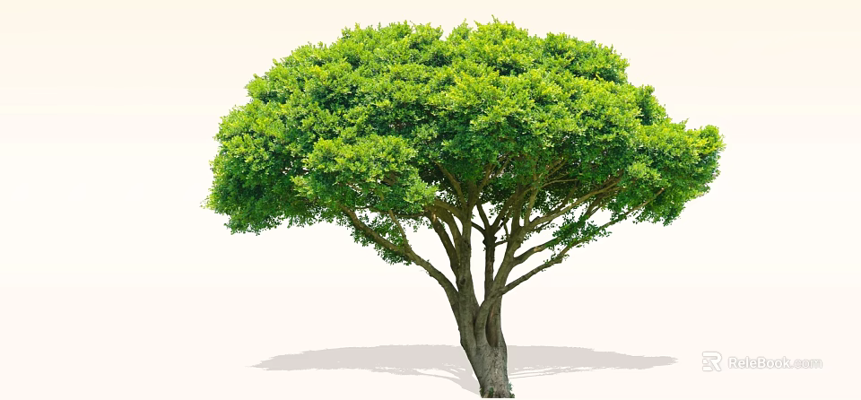 Lush Green Arbor With Dense Foliage Thick Trunk And Spreading Canopy 3d model