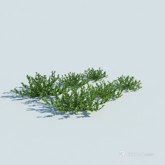Lush Small Green Shrubs with Tiny Leaves on Light Blue Background and Shadows 3d model
