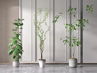 Modern Potted Plant 3d model