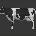 3D Rendered Black And White Cow Standing On Dark Background With Reflection