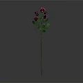 Beautiful Plant With Several Pink Roses And Green Leaves On Gray Background