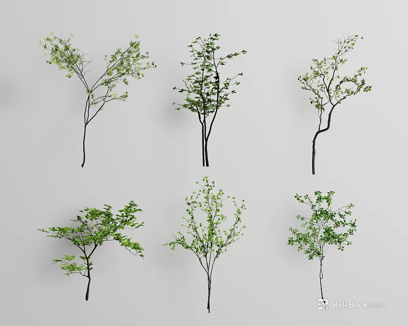 Different Shaped Arbor Trees With Green Foliage And Branch Structures For Decorative Use 3d model