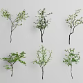 Different Shaped Arbor Trees With Green Foliage And Branch Structures For Decorative Use 3d model