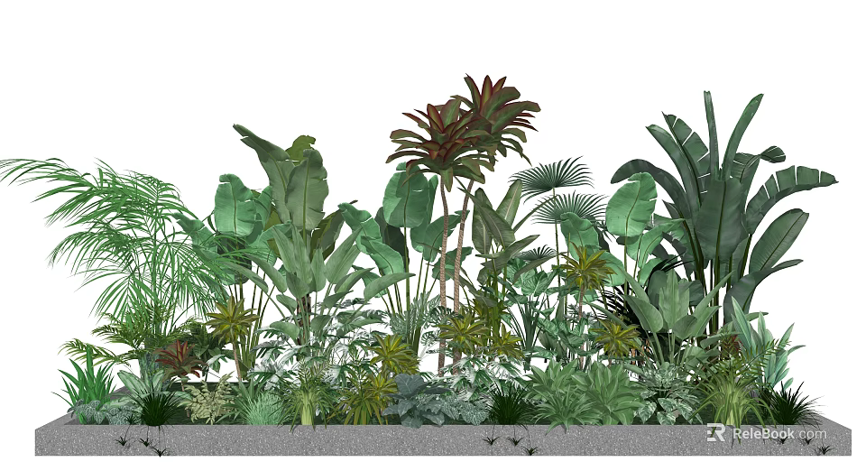 Vibrant Tropical Plants And Lush Green Foliage In Layered Garden Design 3d model 