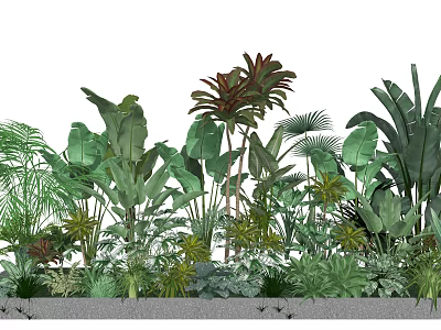 Vibrant Tropical Plants And Lush Green Foliage In Layered Garden Design 3d model