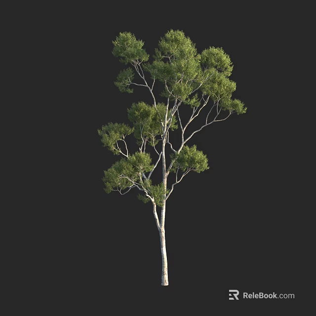 Tall Arbor With Lush Green Leaves And Sturdy Branches In Natural Setting 3d model 