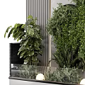 Various Green Plants and Flowers in Indoor Decorative Glass Container with Lighting Balls