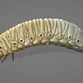Yellow Caterpillar With Segmented Body Dark Brown Head And Multiple Legs On Gray Background