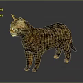 Realistic Tabby Cat Standing On Reflective Surface With Striped Fur And Green Eyes