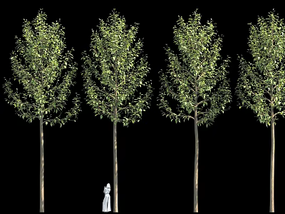 Four Tall Trees With Green Leaves And Small White Figure In Middle On Black Background 3d model