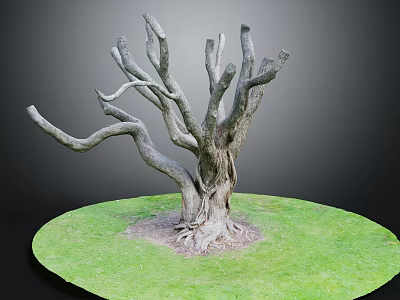 Rough Wooden Dead Tree Trunk With Curved Branches And Roots On Green Grass 3d model