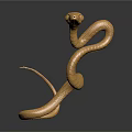 Golden Snake Sculpture With Curved Body On Dark Background With Reflection