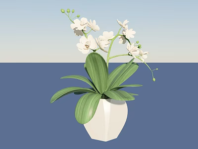 Bonsai Potted Plant With White Orchids Green Leaves And White Pot 3d model