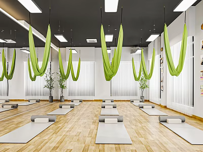 Yoga Studio With Green Aerial Hammocks Wooden Floors And Yoga Mats For Fitness 3d model