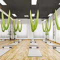 Yoga Studio With Green Aerial Hammocks Wooden Floors And Yoga Mats For Fitness