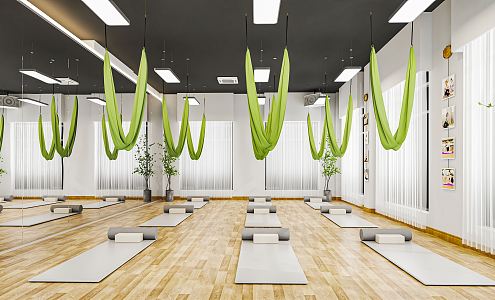 Modern Yoga Room Leisure Fitness Room Exercise Room Gym Pilates Exercise Room Yoga Mat Hanging Rope 3d model