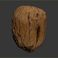 Fresh Walnut with Brown Shell and Natural Surface Texture on Dark Background