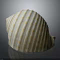 Marine animal with white spiral shell featuring yellow spots and stripes on dark background