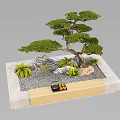 Bonsai Pine Tree Plant With Natural Rocks Small Green Plants And Wooden Stone Stand