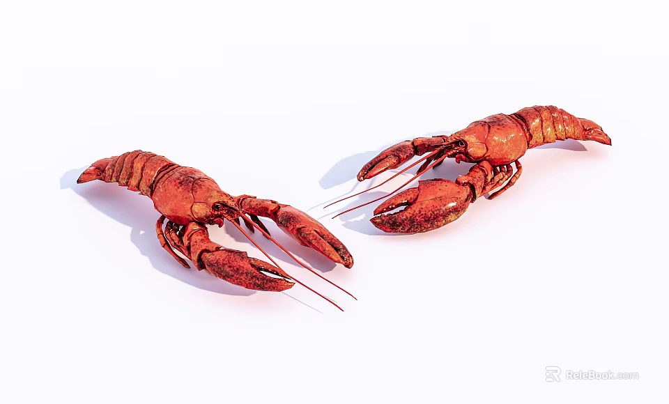 Two Red Aquatic Lobsters Displayed on White Background with Natural Features 3d model