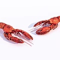 Two Red Aquatic Lobsters Displayed on White Background with Natural Features 3d model