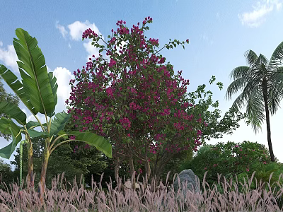 Garden Landscape With Purple Flowering Tree Banana Leaves Palm Tree Green Grass And Blue Sky 3d model