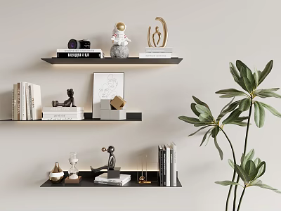 Black Wall Mounted Shelves With Books Decorative Sculptures Camera And Green Plant 3d model