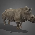 Detailed Realistic Rhinoceros 3D Model in Standing Pose on Gray Background