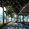 Municipal Road Lined With Green Trees Pedestrian Path And Recreational Walking Area