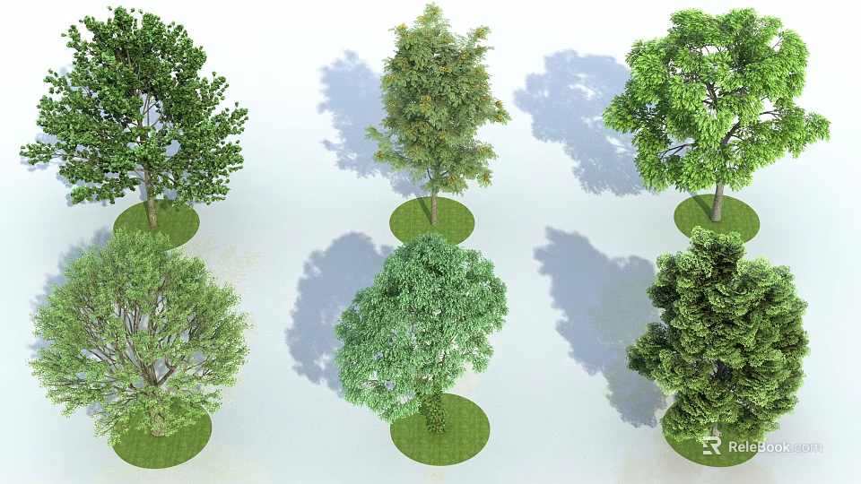 Diverse Arbor Species Planted in Circular Lawns with Green Foliage and Shadows 3d model 