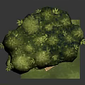 Wooden Tree House With Green Leafy Canopy Small Cabin Wooden Ladder And Grass Base