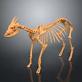 Animal Skeleton 3D Model With Anatomical Structure Orange Color And Dark Background 3d model
