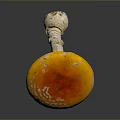 Fresh Orange Mushroom With White Spots On Round Cap Over Dark Reflective Surface