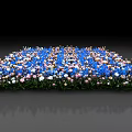 Colorful Floral Carpet with Blue Pink White Blooms Against Black Background for Decorative
