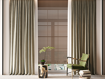 Modern Curtains model