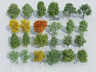 Various Arbor Trees In Natural Setting With Green Yellow Orange Leaves And Unique Shapes 3d model