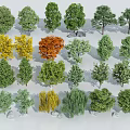 Various Arbor Trees In Natural Setting With Green Yellow Orange Leaves And Unique Shapes