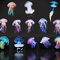 Colorful Jellyfish With Vibrant Hues And Reflective Surfaces On Black Background