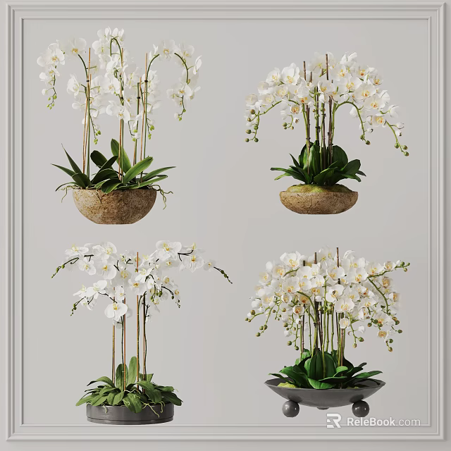 Beautiful Bonsai Potted Plants With White Orchids And Green Leaves In Natural Containers 3d model 