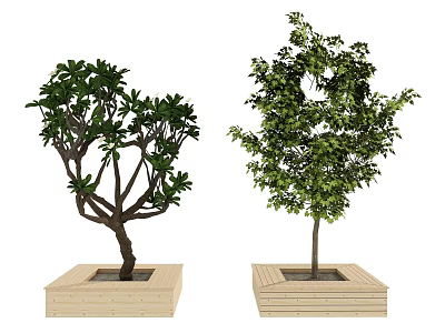 Wooden Square Planters With Lush Green Trees For Garden Decoration 3d model