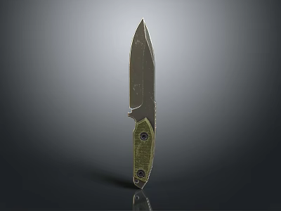 Tactical Survival Knife With Sharp Stainless Steel Blade And Textured Grip Handle 3d model