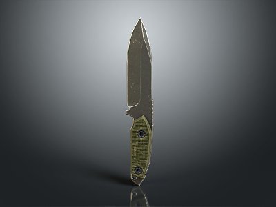 Modern Dagger Sword Bayonet 3d model