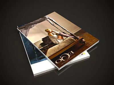 Stacked Magazines With Cover Featuring Woman Sitting on Bed Interior Scene 3d model