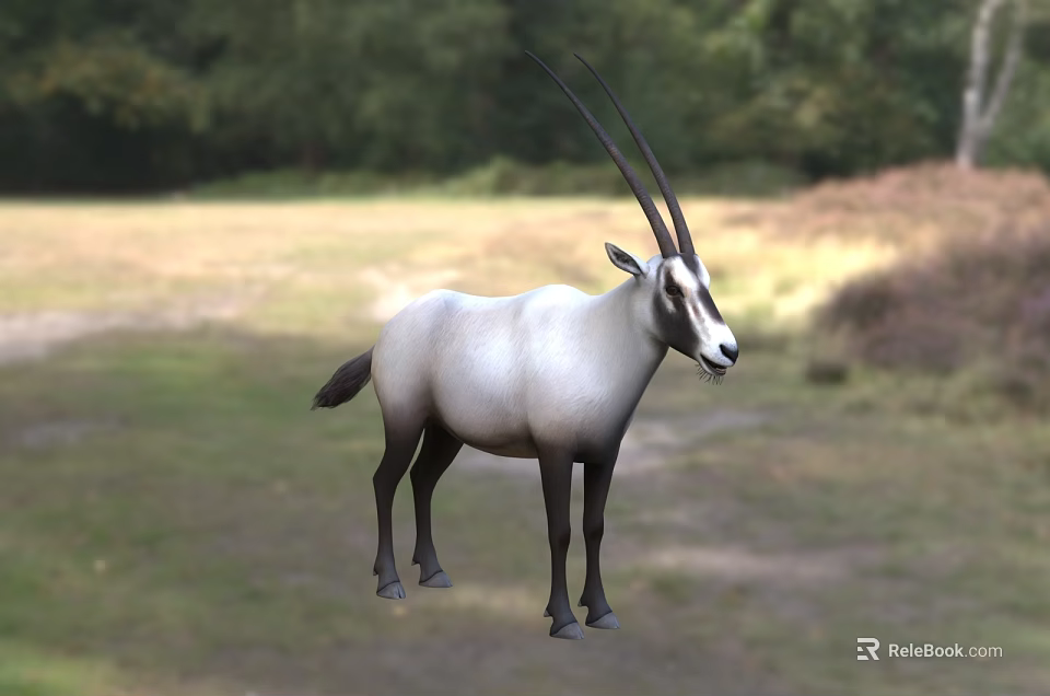 Wild Reptile Lizard Basking On Warm Rock In Sunlit Forest Clearing Area 3d model 