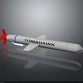 Tomahawk Missile in Advanced Aerospace Technology and Aerial Vehicle Systems