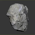 Ancient Prehistoric Marine Animal Fossil Embedded in Detailed Natural Stone Formation