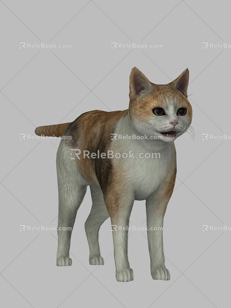 Kitty Cat Kitty Animal Pet Cat Cute Realistic Smokie Cat Kitty 3d model