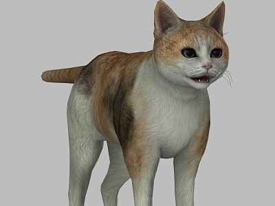 Kitty Cat Kitty Animal Pet Cat Cute Realistic Smokie Cat Kitty model