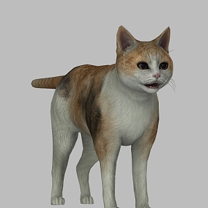 Kitty Cat Kitty Animal Pet Cat Cute Realistic Smokie Cat Kitty 3d model